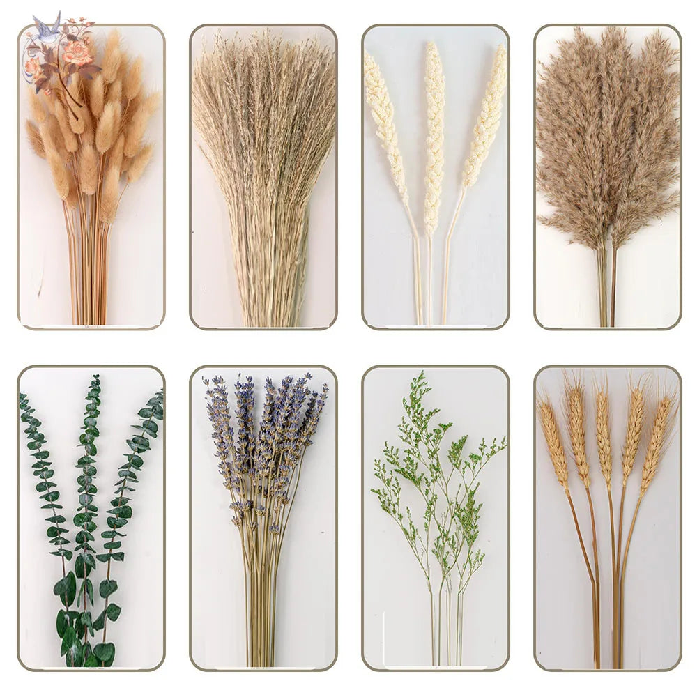 Natural dried pampas grass and eucalyptus bouquet arranged in a white ceramic vase, styled on a neutral background for modern home decor.