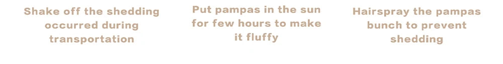 Text instructions on managing pampas grass shedding.