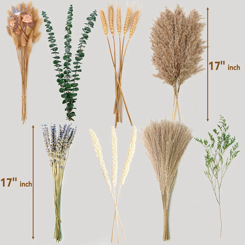 Collection of dried flower bouquets with measurements 